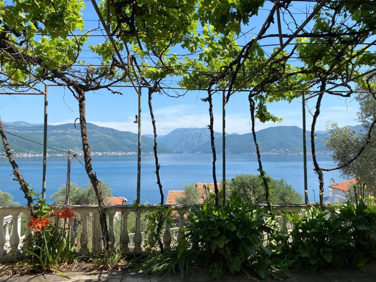 Apartman Miran Boka Bay *
